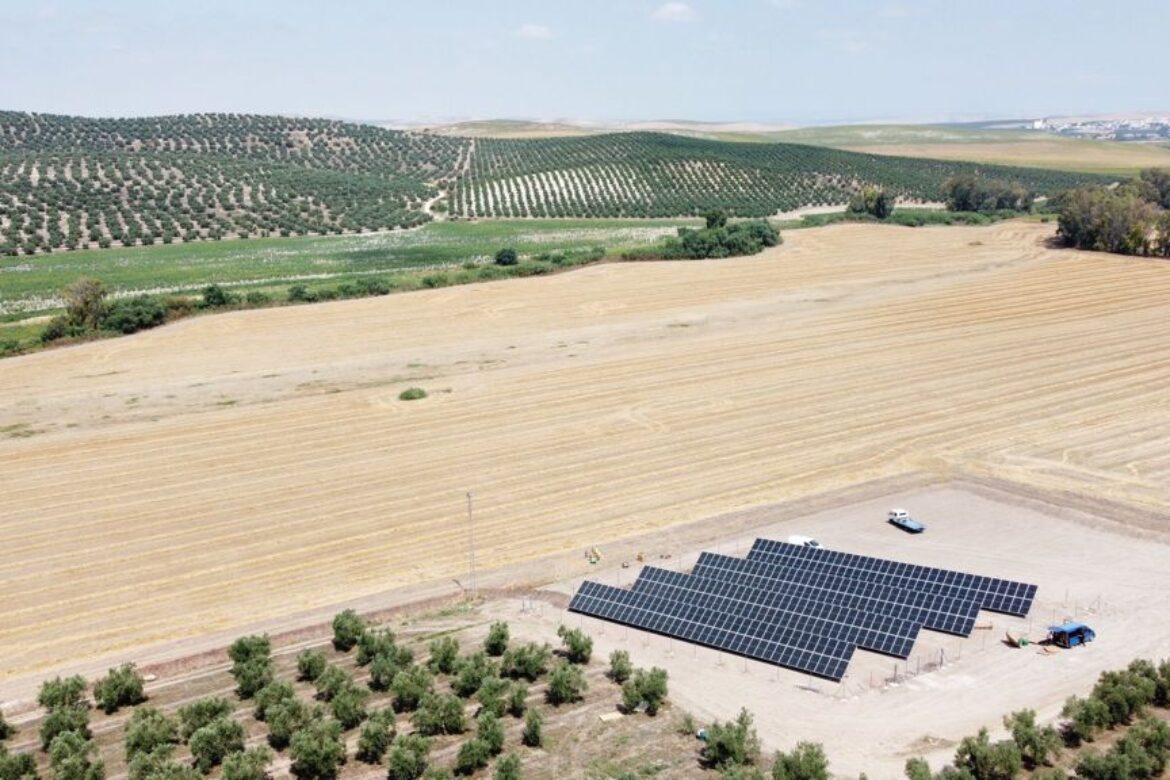 estructura hincada para instalacion fotovoltaica desarrollada por sunsupport