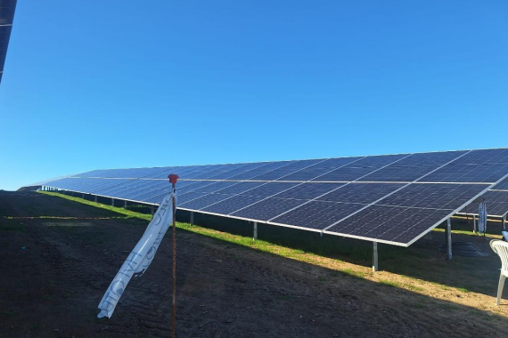 Captura de pantalla 2026-02-02 114959